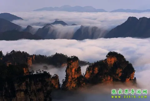 天子山云海