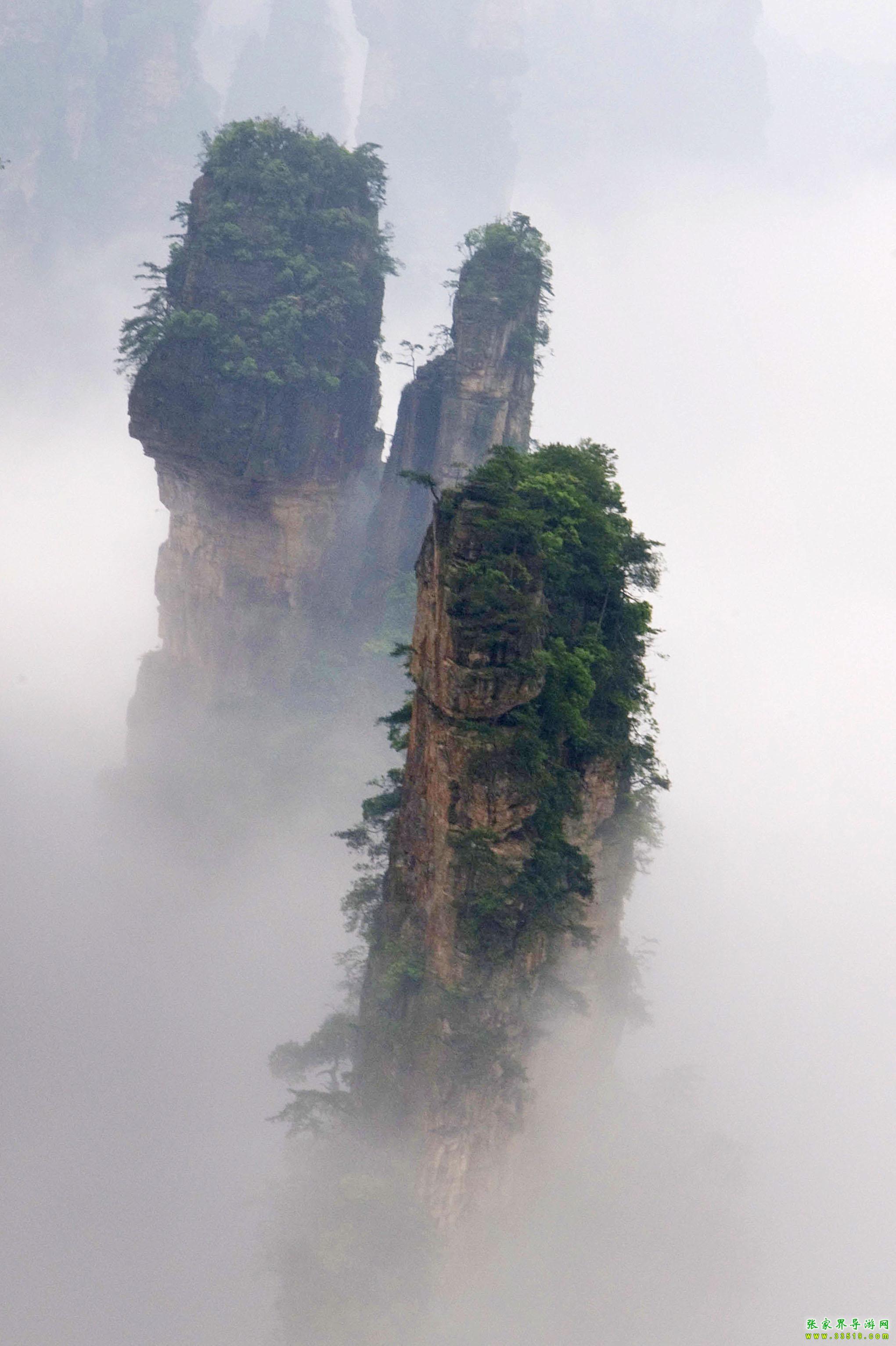 天子山风光