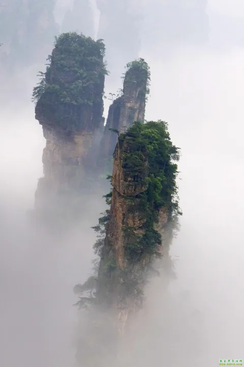 天子山风光
