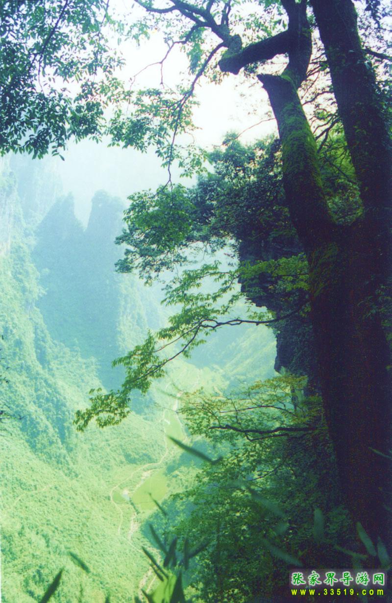 德夯大峡谷风光