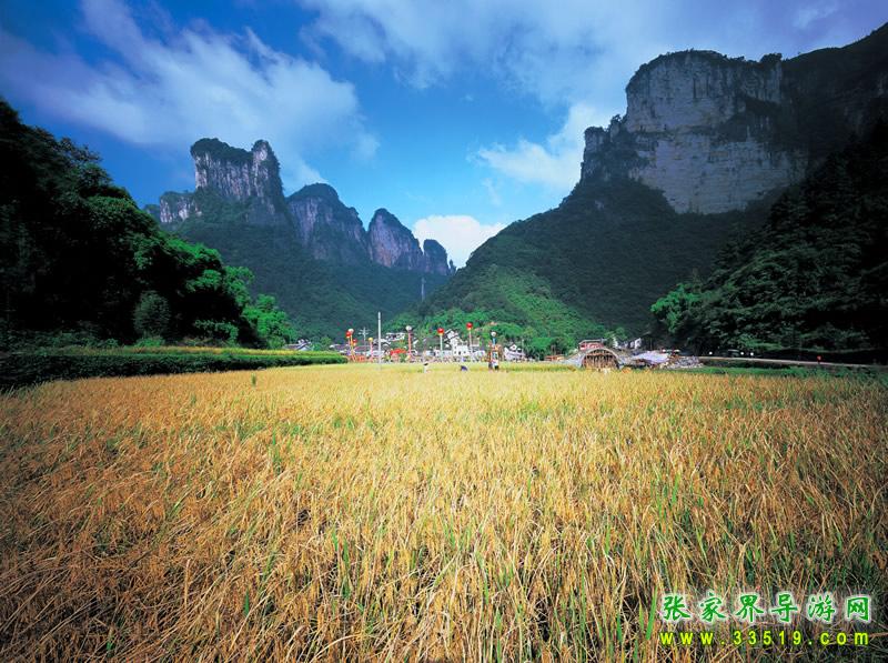 德夯大峡谷风光