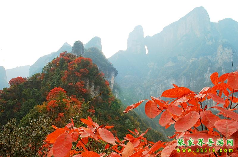 天门山风光