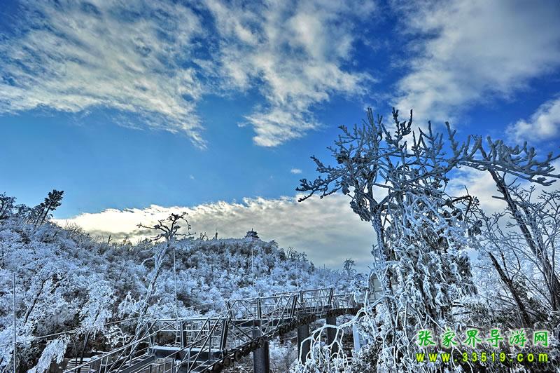 雪上蓝天