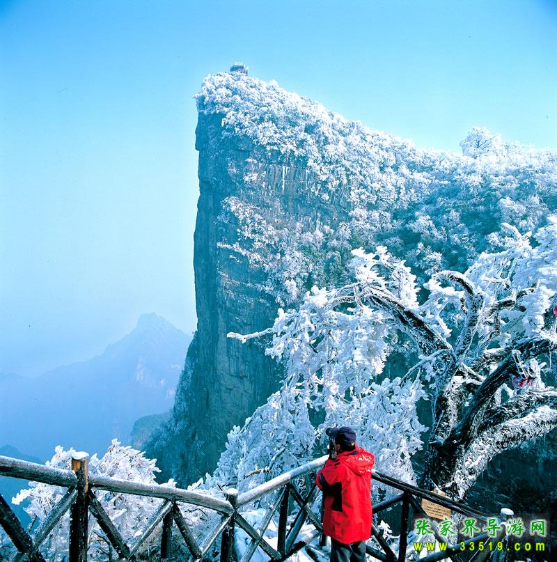 玉壶望雪
