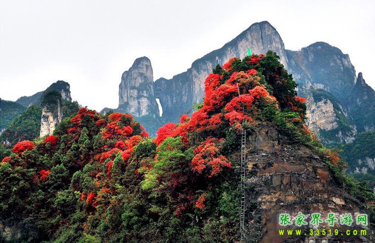 天门山风光