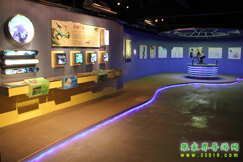 大鲵价值展示区
