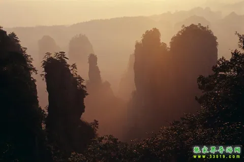 Secluded Fir Path in Huangshizhai