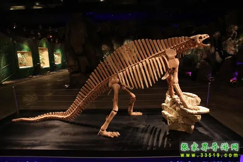 Ancient Seal - Furong Dragon