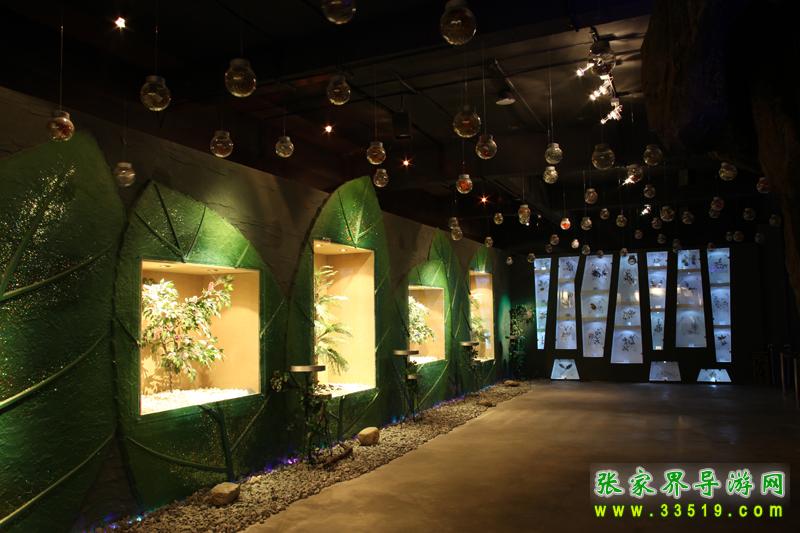 植物长廊