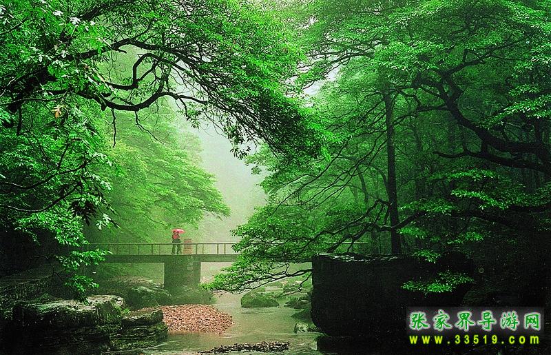 金鞭溪小桥流水