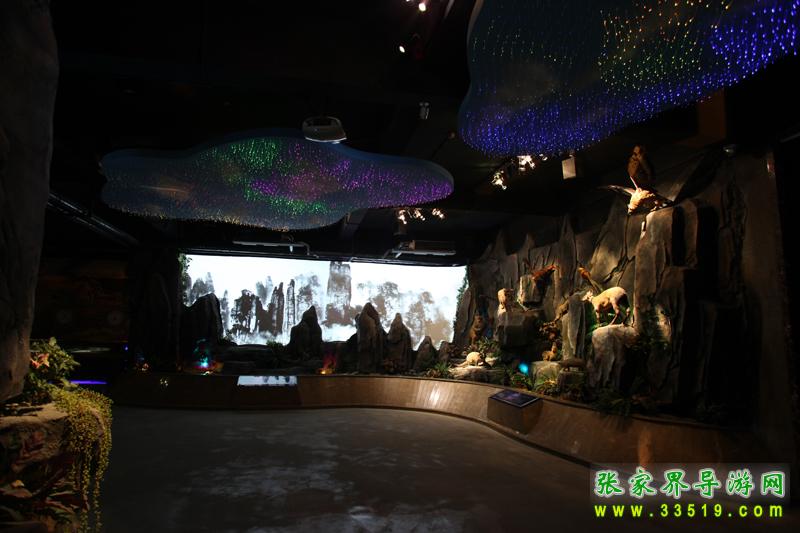 生物万象