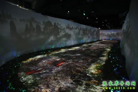 Giant Salamander Habitat