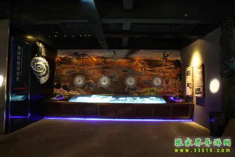 History of Life on Earth