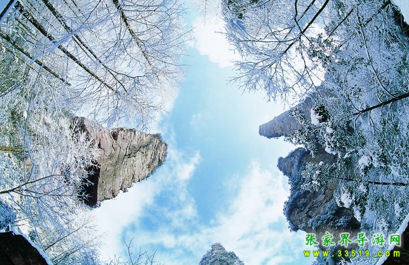金鞭溪神鹰护鞭