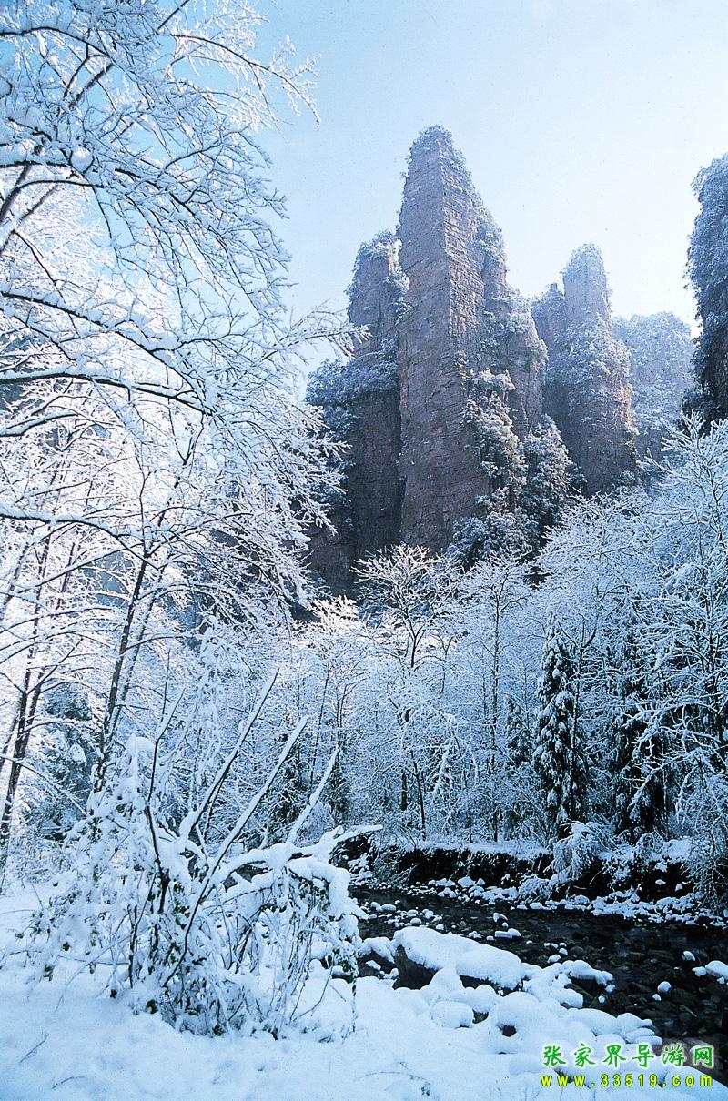 雪色金鞭溪