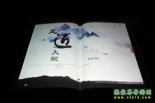 走近大鲵-电子书