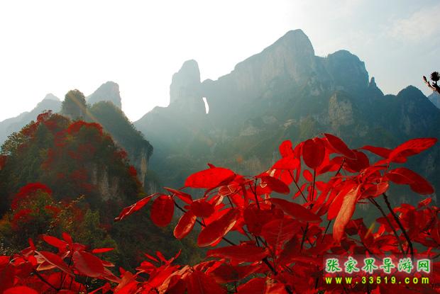 天门山风光