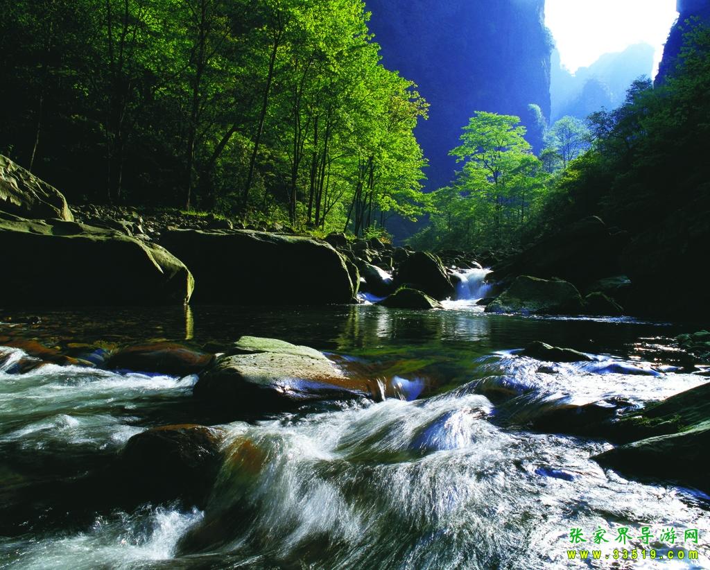 金鞭溪流水