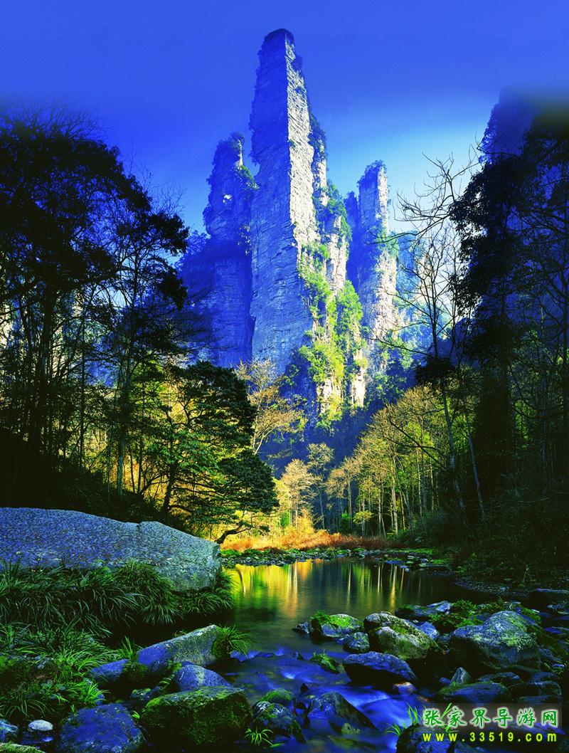 金鞭溪风景