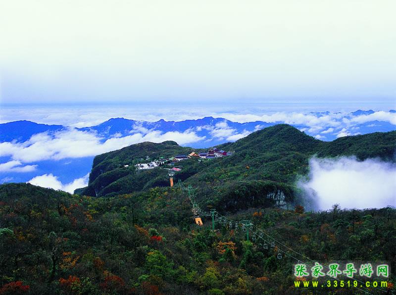森林观光缆车全景