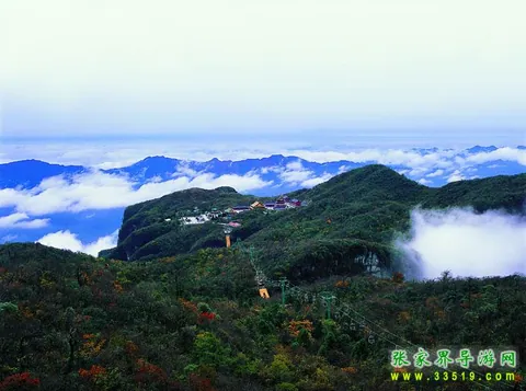 Panoramic View of Forest Sightseeing Cable Car
