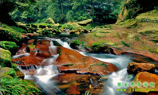 金鞭溪流水风光