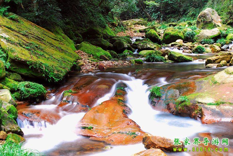 金鞭溪流水风光