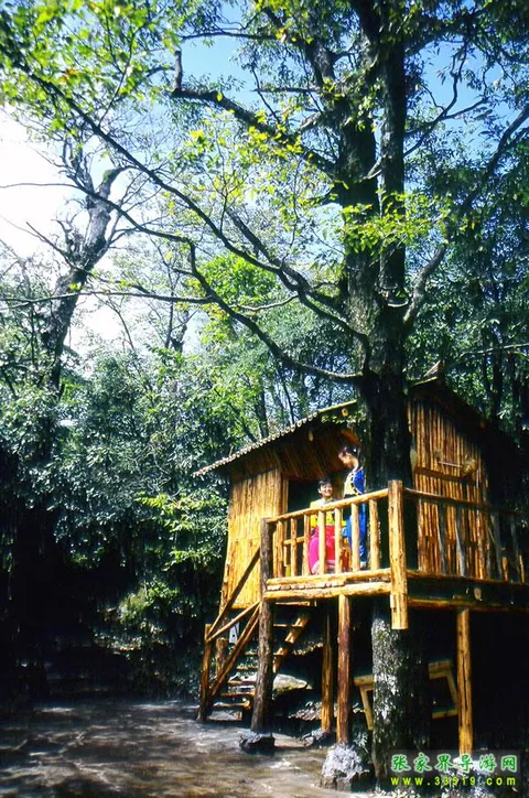 A House Deep in the Forest