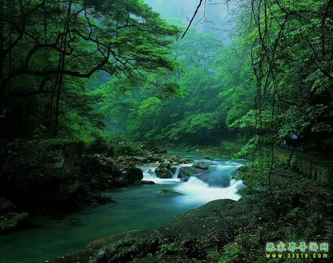 Golden Whip Stream Scenery