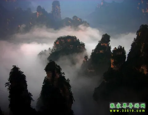 Tianzi Mountain Scenery