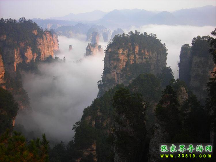天子山风光