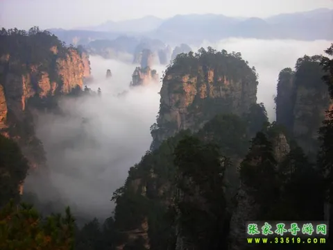 Tianzi Mountain Scenery