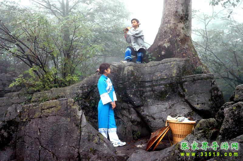 木石之恋
