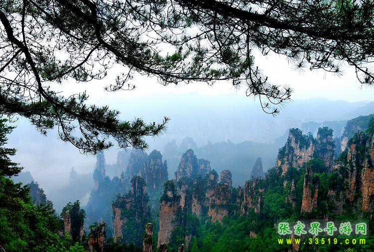 俯瞰天子山