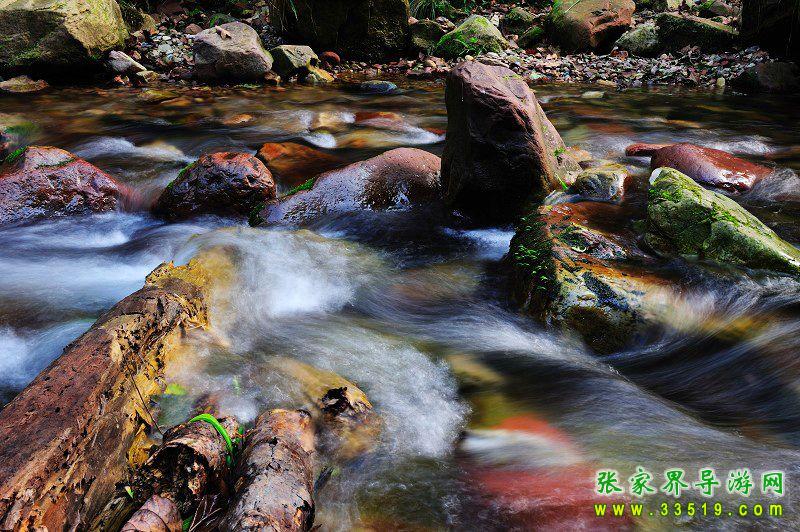 金鞭溪风光
