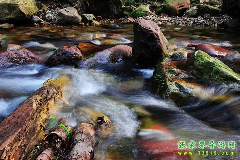 Golden Whip Stream Scenery