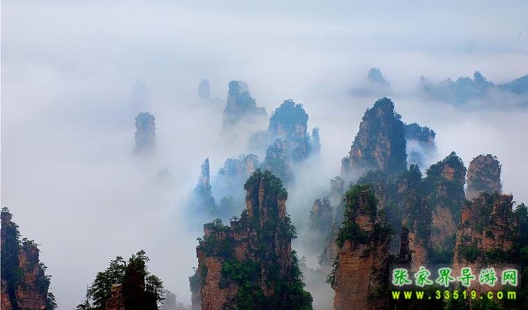 天子山风光
