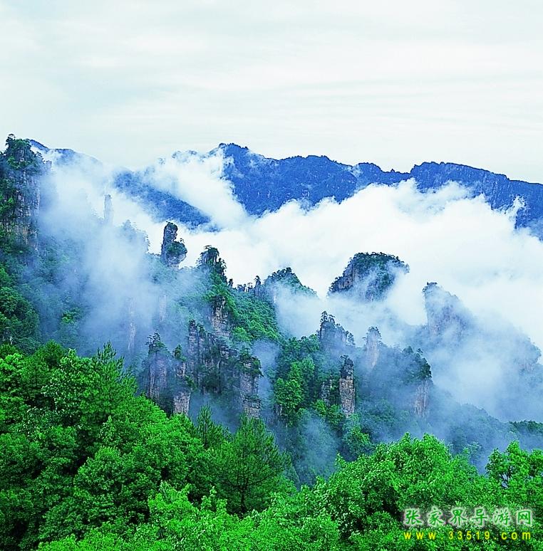 天子山风光