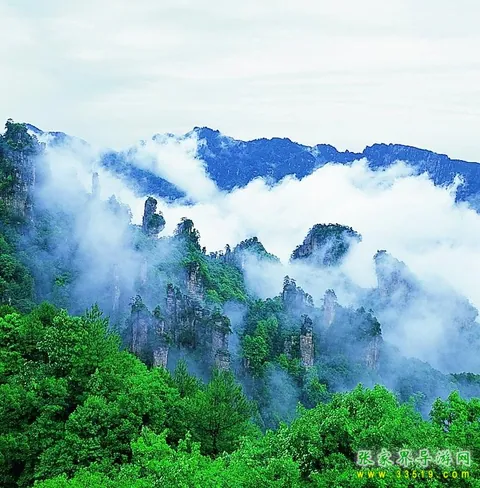 Tianzi Mountain Scenery