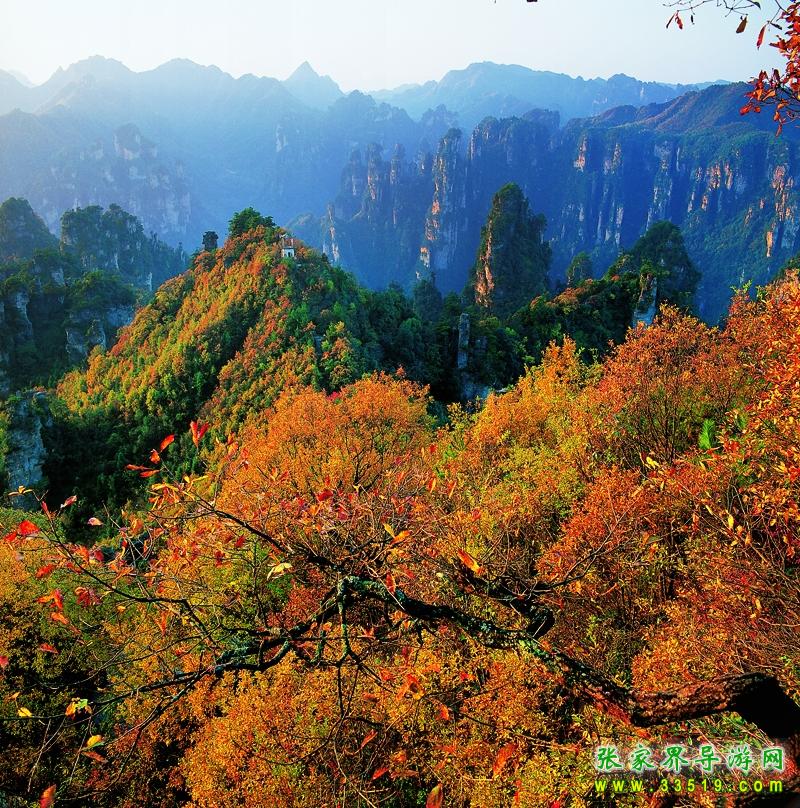 天子山风光