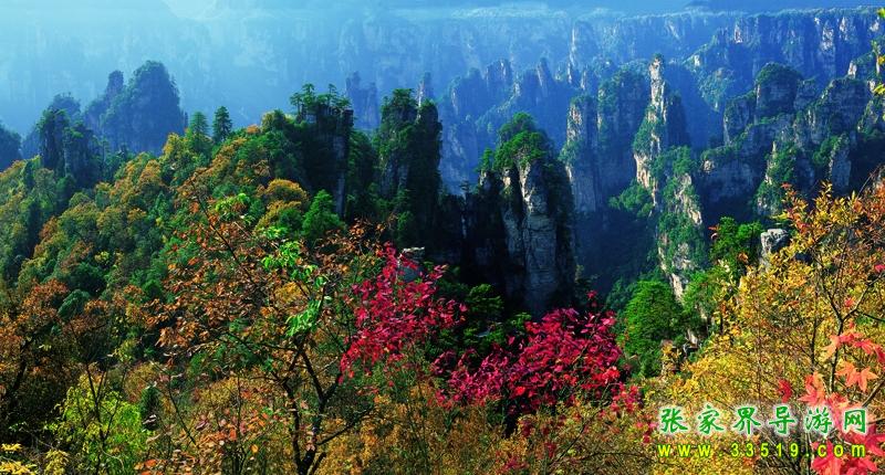 天子山风光