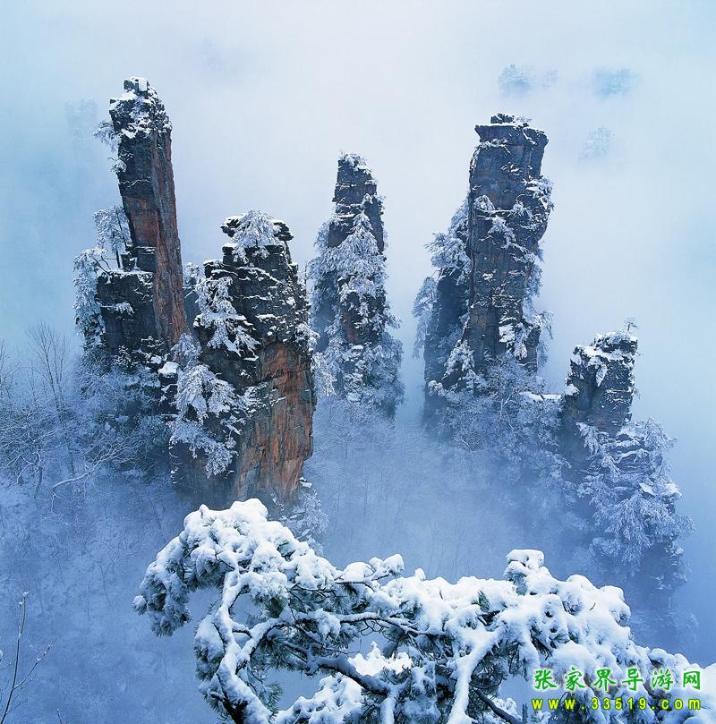 天子山五指峰