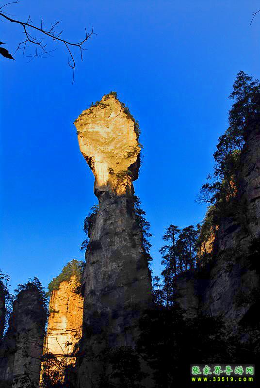 张家界森林公园风景