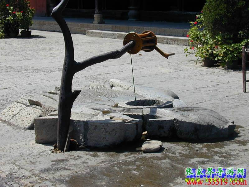 普光禅寺龙眼