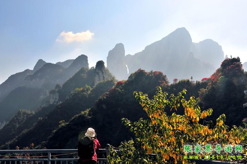 中站观天门洞